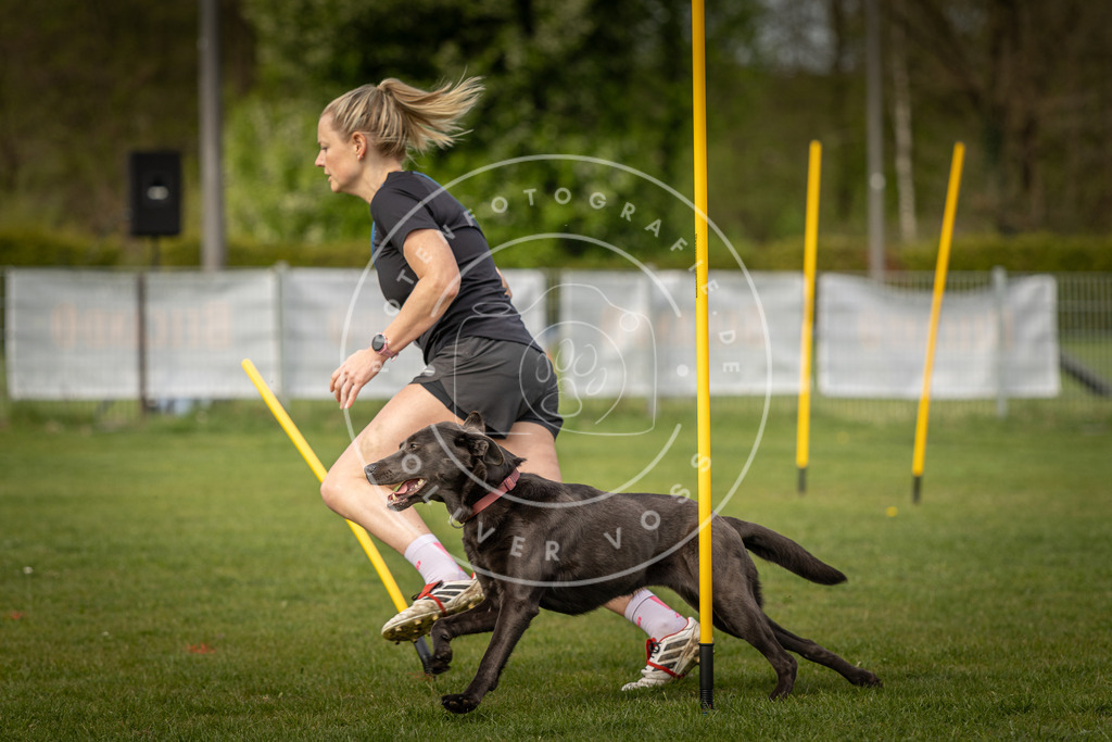 Pfotenfotografie_DV3A5413 | Hundefotografie, Tierfotograf, Pfotenfotografie, Fotoshooting Hund, Hunde Portrait, Hundesport, Hundeportraits, Heideshooting, Hunde, Sportfotograf, Hundefotograf, Turnierhundsport, THS,  - Realisiert mit Pictrs.com
