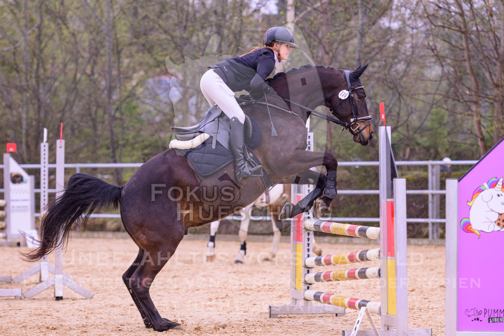 12042026-Mammendorf-Prfg38-0162 | Fokus Hufschlag Fotografie - Realisiert mit Pictrs.com