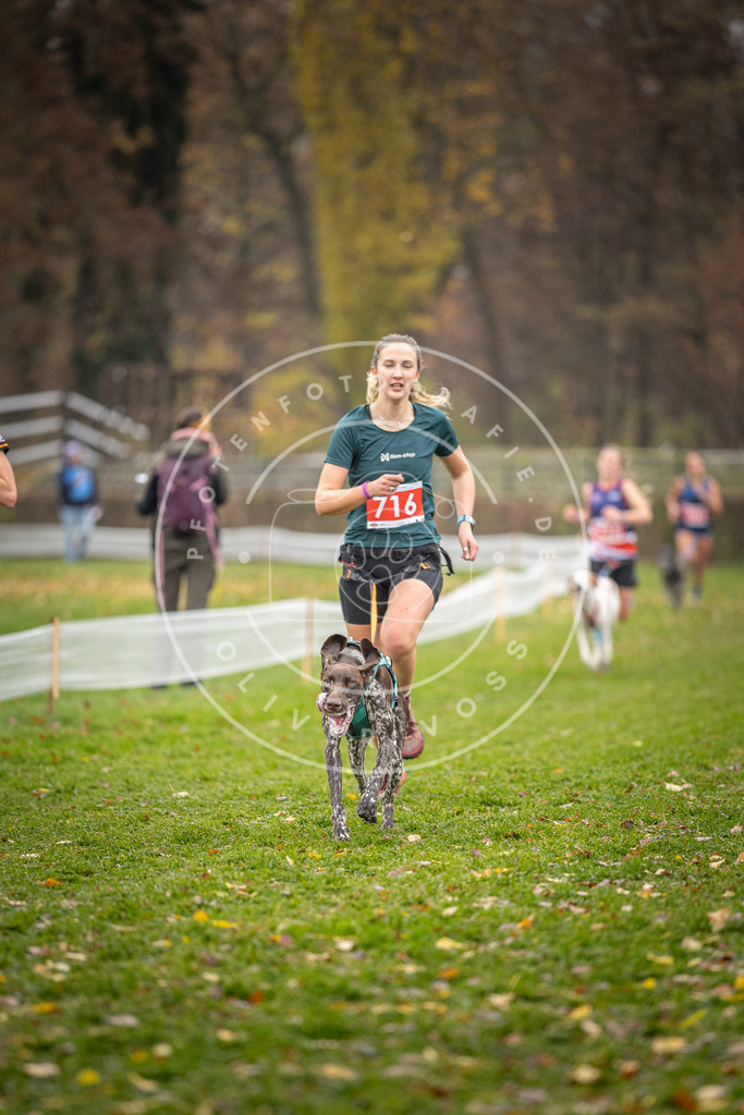 CaniXpix_DV3A9117 | Hundefotografie, Tierfotograf, Pfotenfotografie, Fotoshooting Hund, Hunde Portrait, Hundesport, Hundeportraits, Heideshooting, Hunde, Sportfotograf, Hundefotograf, Turnierhundsport, THS,  - Realisiert mit Pictrs.com