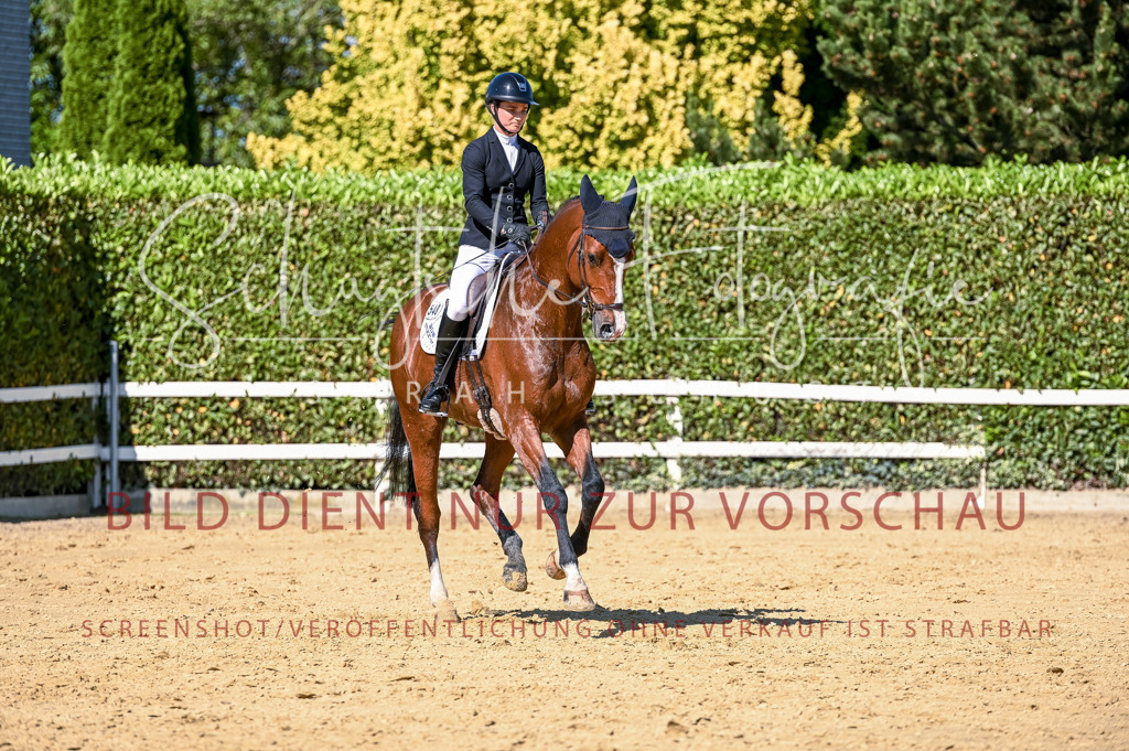 Schugtsche-Aluta25-50.Dressurpferdeprf.L-146 | Schugtsche Fotografie - Realisiert mit Pictrs.com