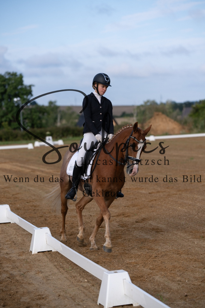 A7V03659 | Turnier/Reitfotograf