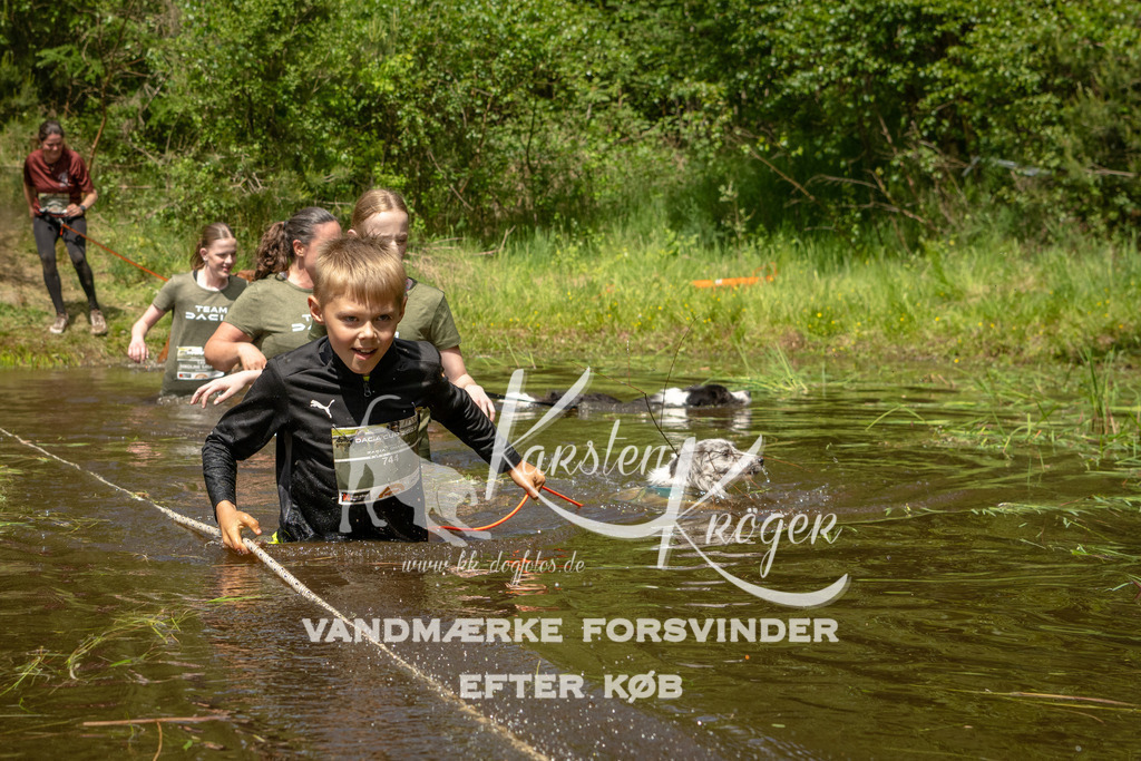 1238DKK993225 | kk-dogfotos