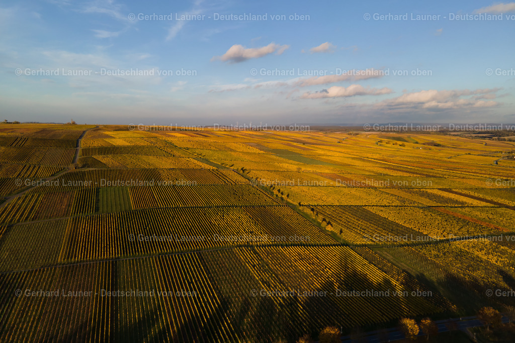 WEI0016 | Weinbergslandschaft an der Mainschleife bei Escherndorf und Nordheim
