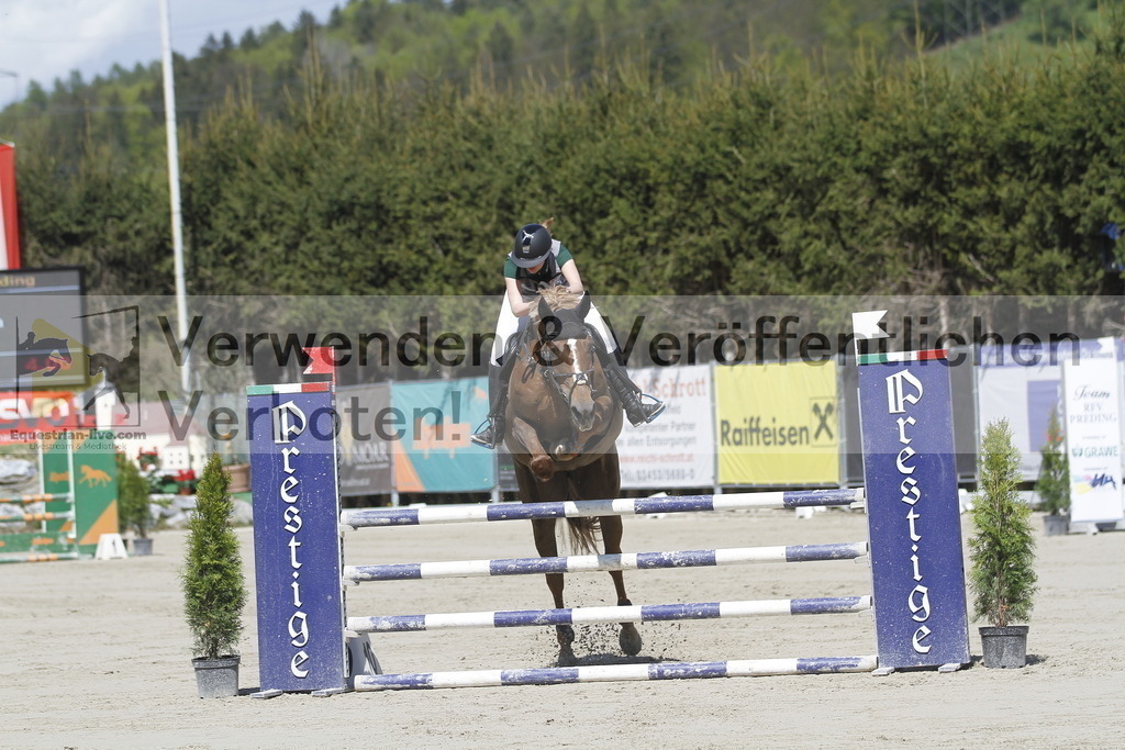 _MG_6548 | equestrian-live-com