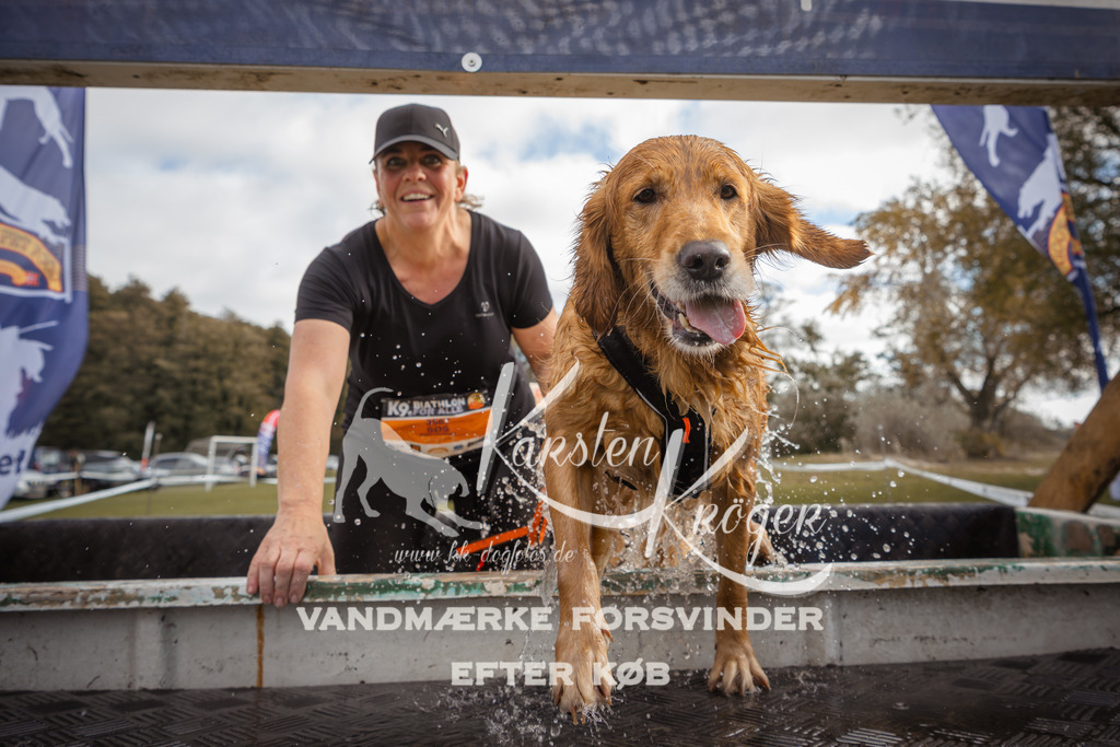 1333_ZZ91349-2 | kk-dogfotos