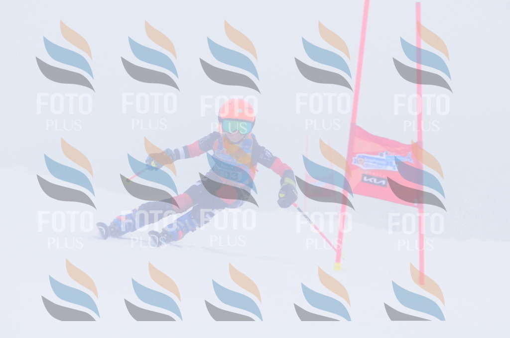 C2208 | holidayphoto