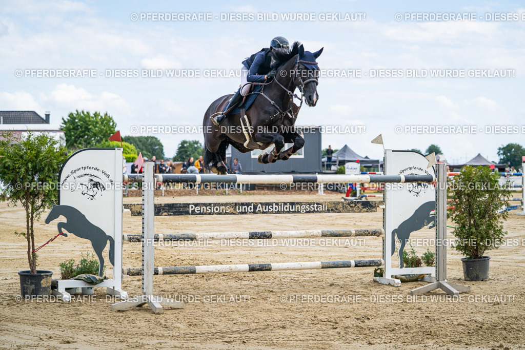 DSC06798 | Pferdegrafie