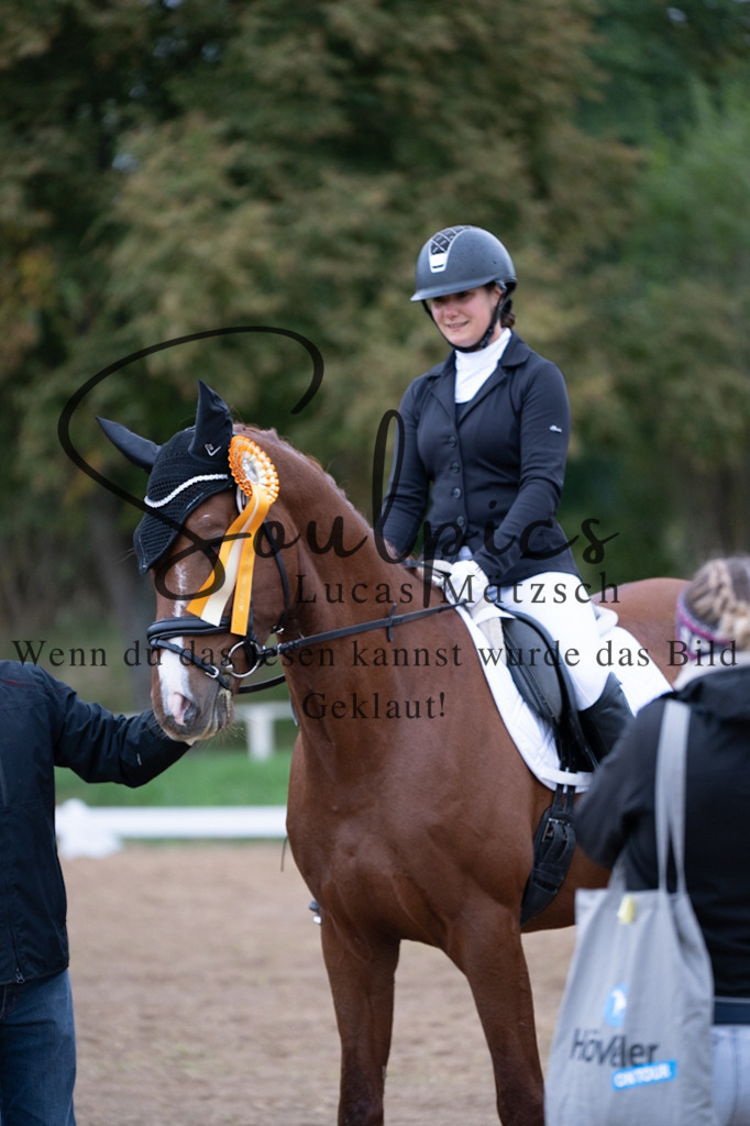 A7V04939 | Pferdefotograf