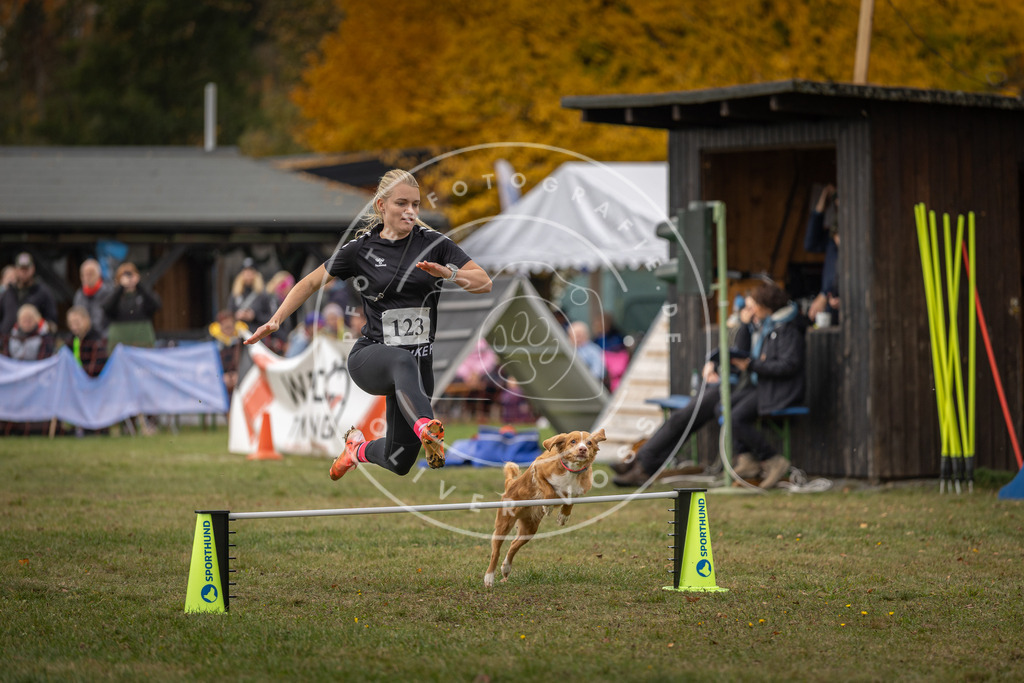 Pfotenfotografie_DV3A7209 | Hundefotografie, Tierfotograf, Pfotenfotografie, Fotoshooting Hund, Hunde Portrait, Hundesport, Hundeportraits, Heideshooting, Hunde, Sportfotograf, Hundefotograf, Turnierhundsport, THS,  - Realisiert mit Pictrs.com