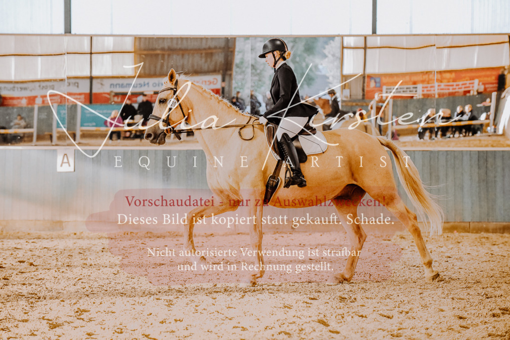 DSC_7669 | Pferde- und Turnierfotografie in Westsachsen. Pferdeportraits, Auftragszeichnungen und intuitive Kunst.