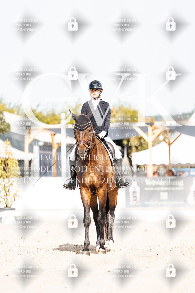 CK905449 | Turnierfotografie Pferdefotografie Trier Rheinland-Pfalz Pferdesport Reitsport Tierfotografie Sportfotografie Pferdevideo Pferdevideografie Equestrianvideography equestrianphotography  - Realisiert mit Pictrs.com