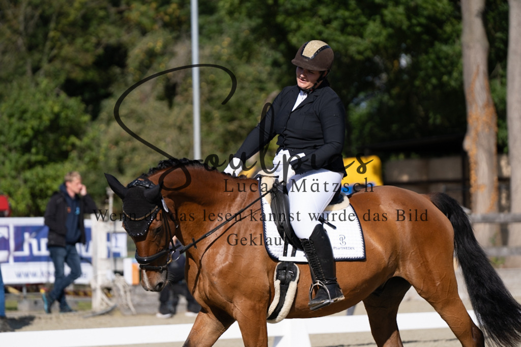 A7V06918 | Turnier/Reitfotograf