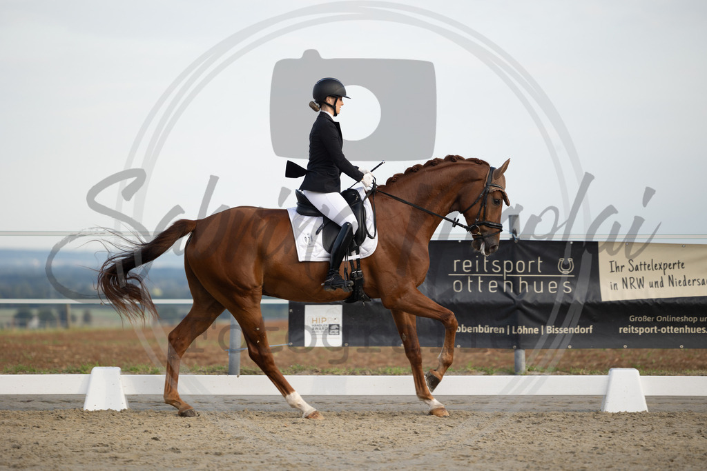 994A0320 | sabrinanicolaifotografie - Realisiert mit Pictrs.com