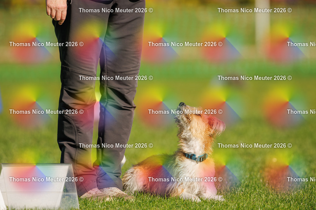 Thomas_Nico_Meuter(C)_04. Oktober 2026_223A0830 | Bild von Thomas Nico Meuter - Realisiert mit Pictrs.com