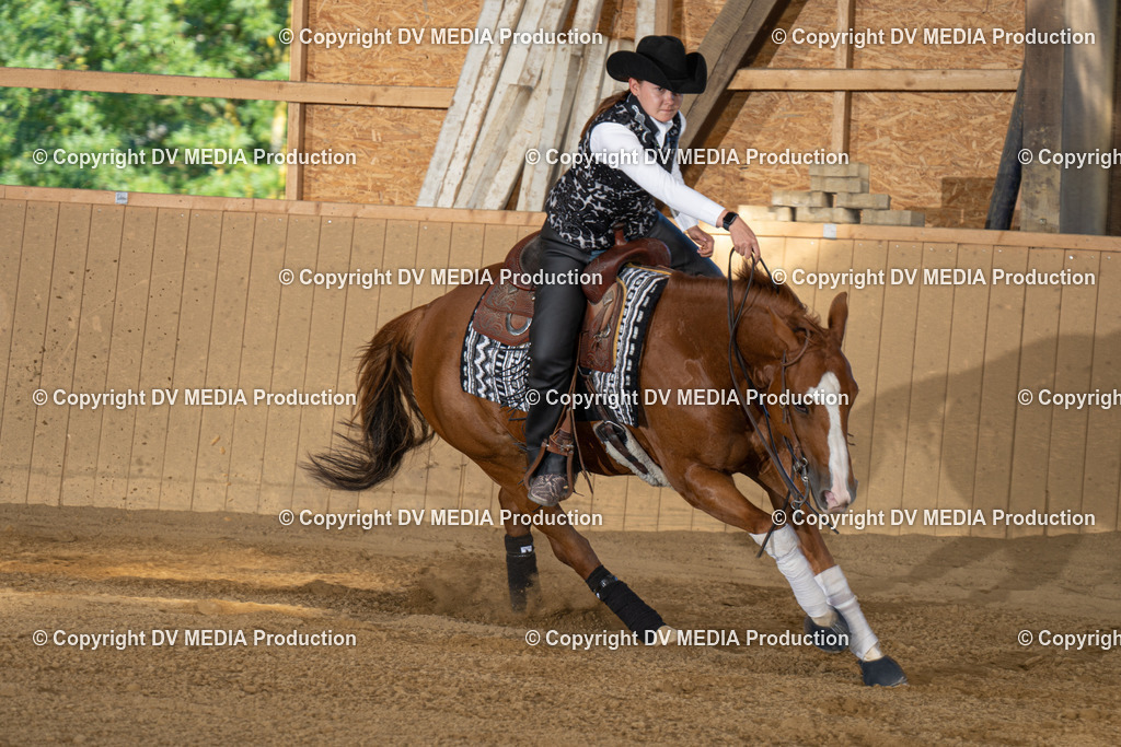 DSC00552 | dv-media-shop - Realisiert mit Pictrs.com