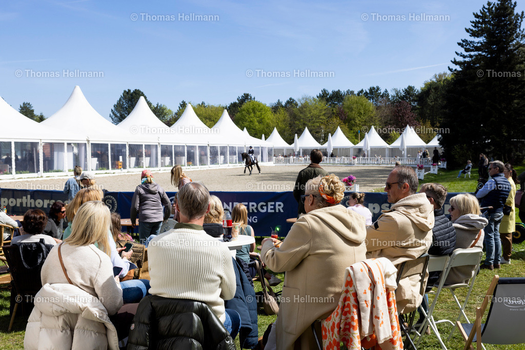 TH_Dressur_ Abreiteplatz_36744 | Horses &amp; Dreams 2026 am 26.04.26 in Hagen a.T.W., Thomas Hellmann, Dressur, Abreiteplatz