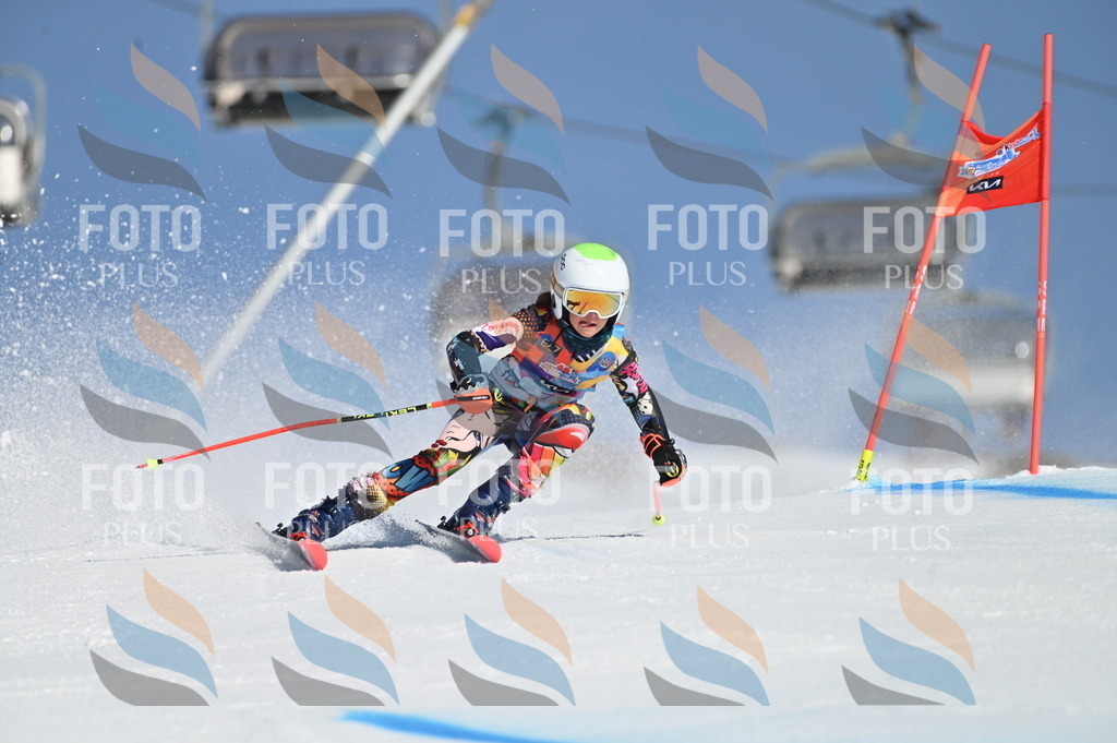 BGV_7684 | holidayphoto