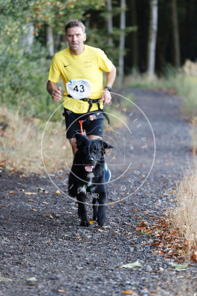 0L8A1699 | Hundefotografie, Tierfotograf, Pfotenfotografie, Fotoshooting Hund, Hunde Portrait, Hundesport, Hundeportraits, Heideshooting, Hunde, Sportfotograf, Hundefotograf, Turnierhundsport, THS,  - Realisiert mit Pictrs.com