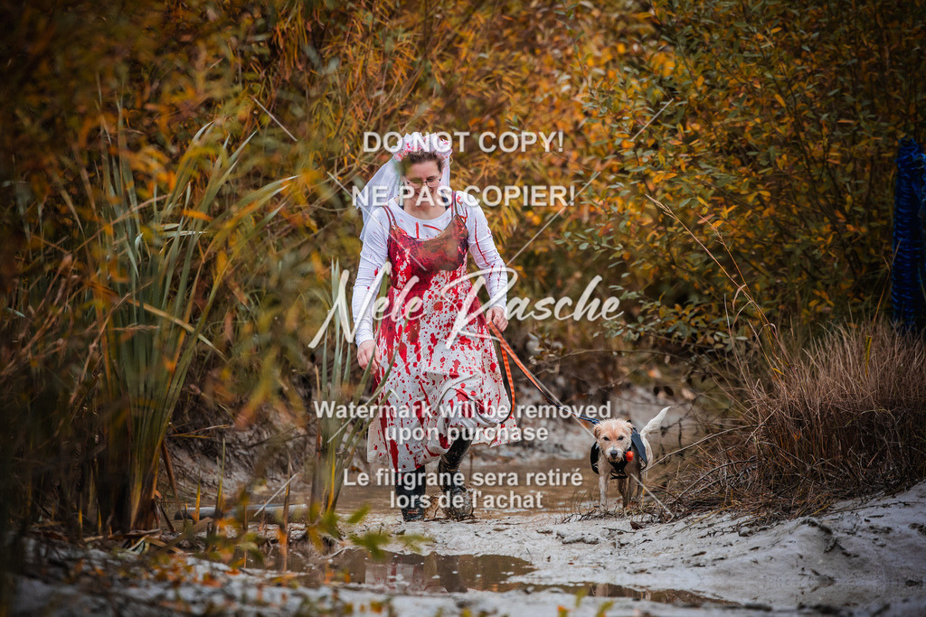 nelerasche_Creepy2025_Sa09-10_46 | nelerasche