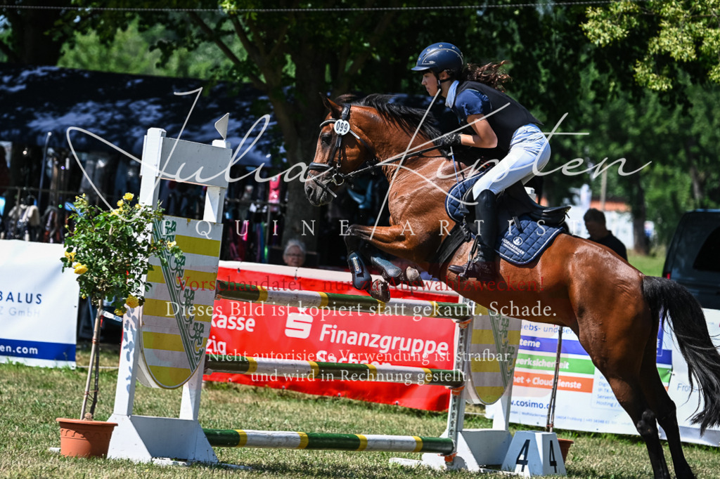 DSC_0915 | Pferde- und Turnierfotografie in Westsachsen. Pferdeportraits, Auftragszeichnungen und intuitive Kunst.