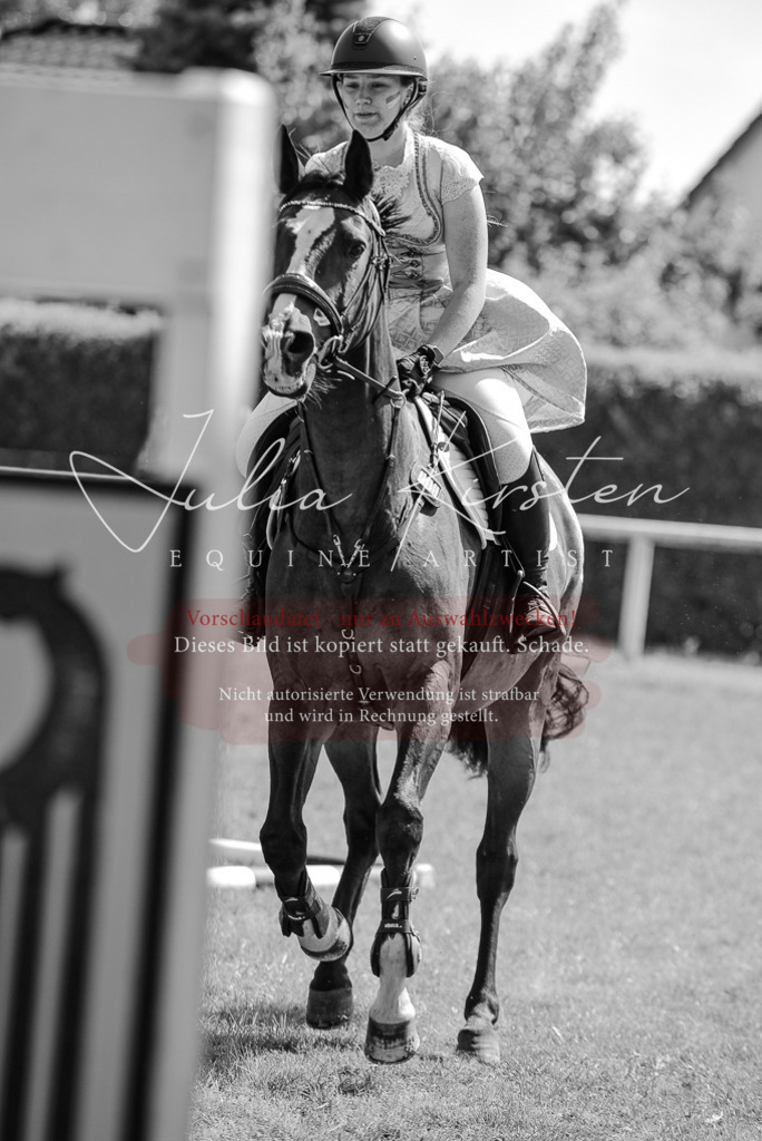 DSC_0369 | Pferde- und Turnierfotografie in Westsachsen. Pferdeportraits, Auftragszeichnungen und intuitive Kunst.