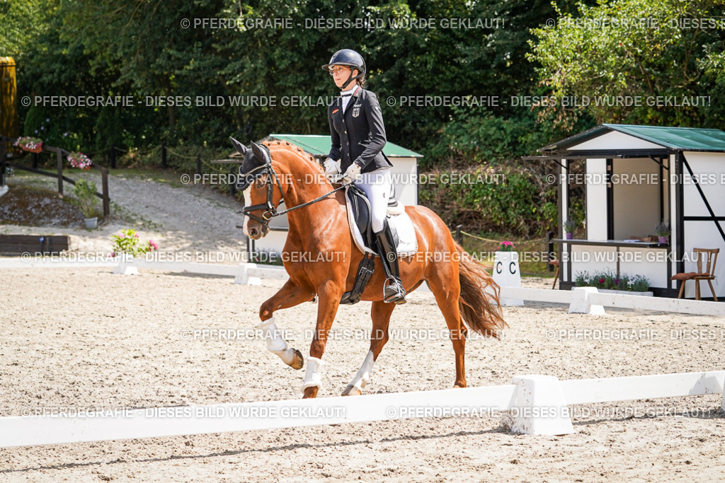 DSC01857 | Pferdegrafie