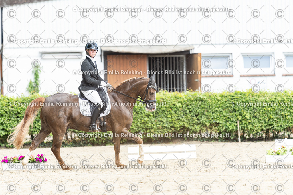 CL5A4504-2 | Emilia Reinking Fotografie - Realisiert mit Pictrs.com