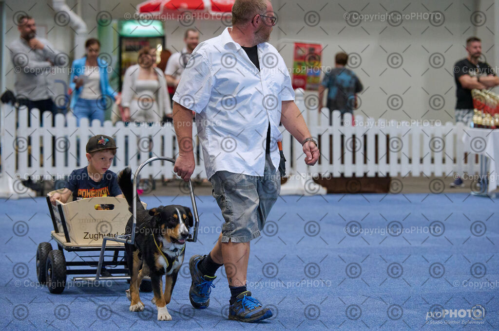 202406_ÖKV-IHA-Tulln24_DSC_4651 | proPHOTO - Realisiert mit Pictrs.com