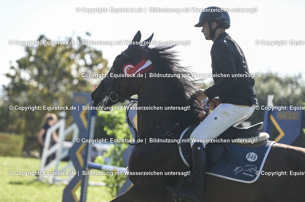 20230908_14-15_Springpferde-A_0152 | equistock