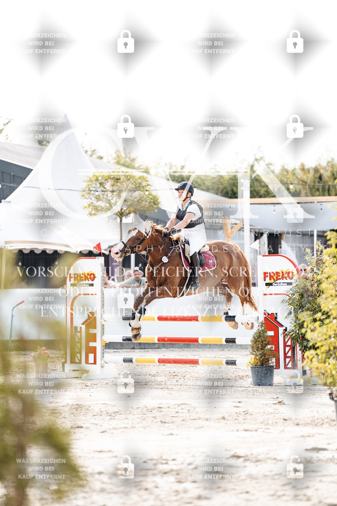 CK906684 | Turnierfotografie Pferdefotografie Trier Rheinland-Pfalz Pferdesport Reitsport Tierfotografie Sportfotografie Pferdevideo Pferdevideografie Equestrianvideography equestrianphotography  - Realisiert mit Pictrs.com