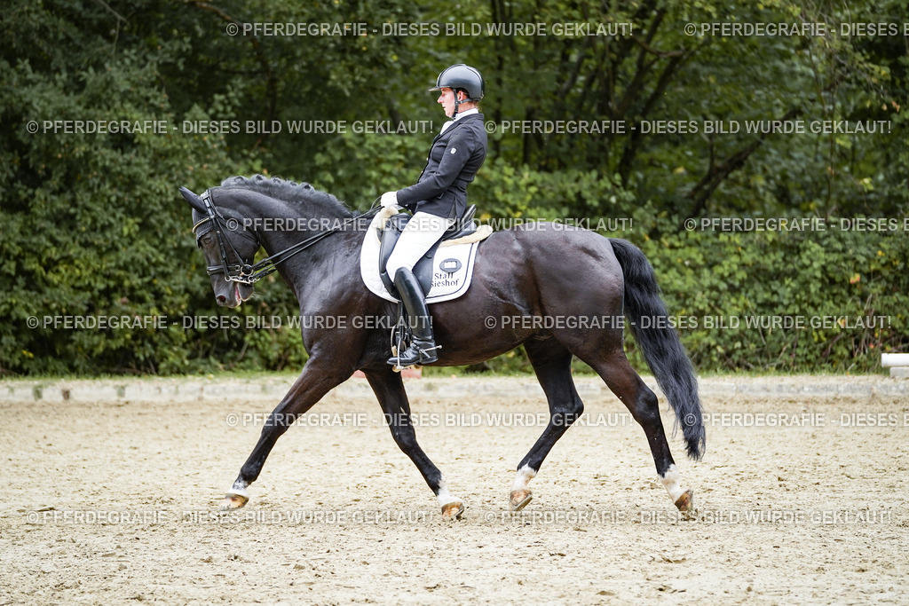 DSC02105 | Pferdegrafie