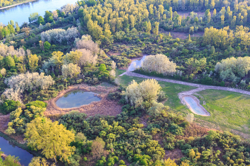 Luftbild: Naturschutzgebiet Rheinauen Réserve biologique dirigée de Lauterbourg in Lauterbourg im Bundesland Bas-Rhin in Frankreich. – Foto: IMG_077981.jpg vom 24.04.2015 durch Werner Riehm/FLY-FOTO.de – Auflösung des Originals: 5472 x 3648 px – INPN.MNHN.FR
