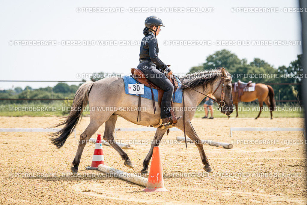 DSC09945 | Pferdegrafie