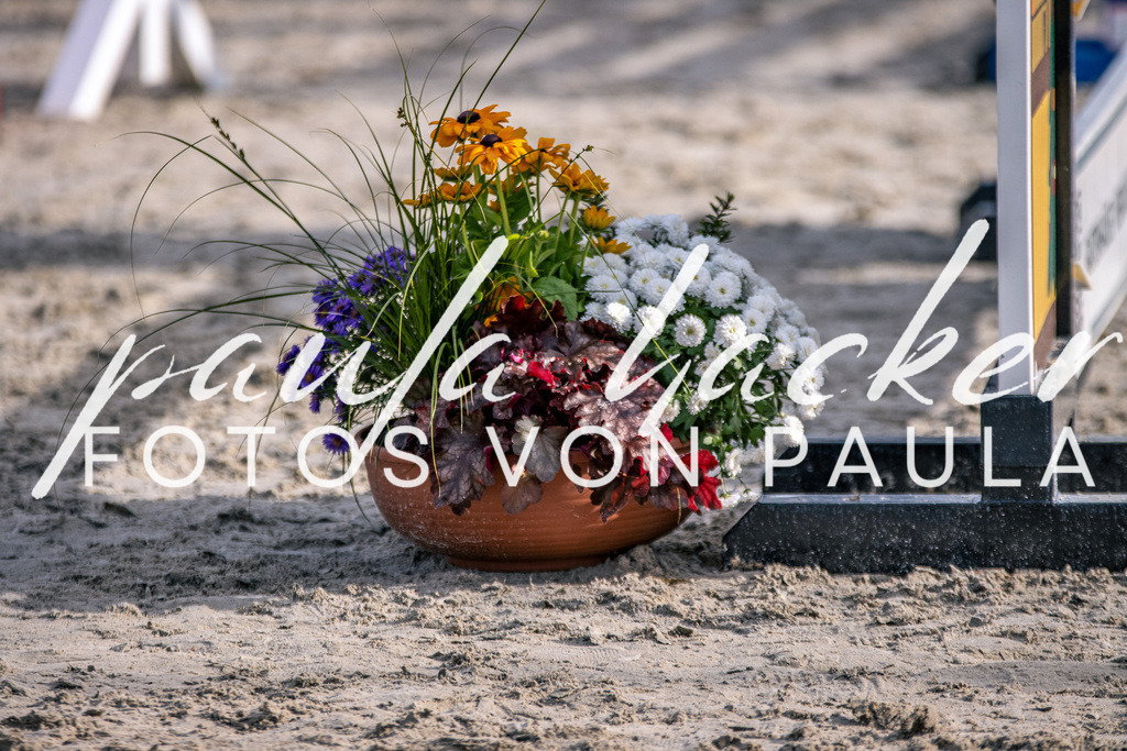 IMG_5759 | Erleben Sie dynamische Sport- und emotionale Tierfotografie in Süddeutschland mit Fotos von Paula. Spezialisiert auf Pferde- und Hundefotografie sowie Sportevents. Kontaktieren Sie mich für einzigartige und ausdrucksstarke Bilder Ihrer besonderen Momente. - Realisiert mit Pictrs.com