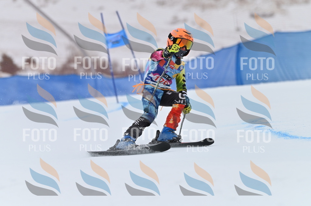 BGV_0987 | holidayphoto