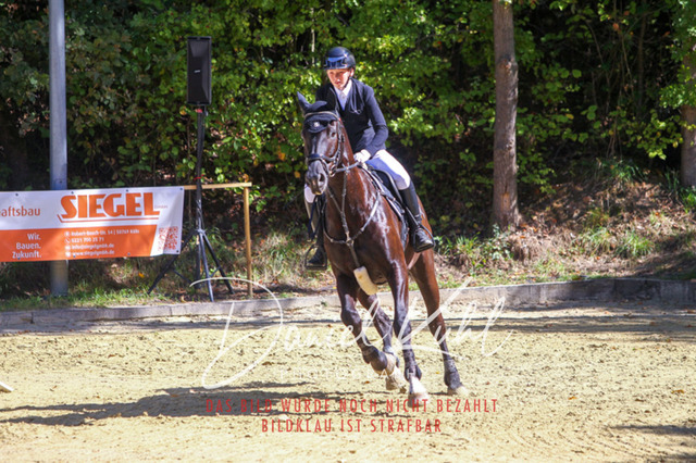 DKP43164 | Turniersportfotografie; Pferdefotografie; Dressurfotografie