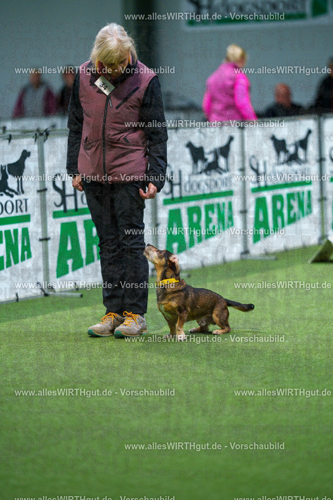 7R505882 | Professionelle Tierfotografie in Mönchengladbach von Daniel Wirth (allesWIRTHgut). Liebevolle & natürliche Bilder von Hunden & Katzen für unvergessliche Erinnerungen.