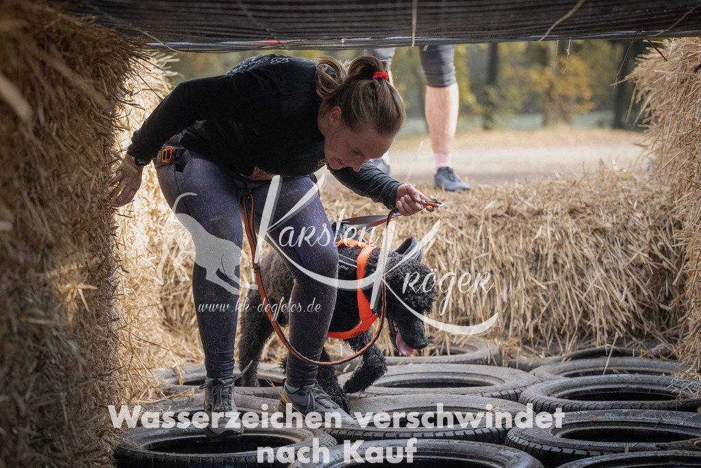 1043_ZZ99089 | kk-dogfotos