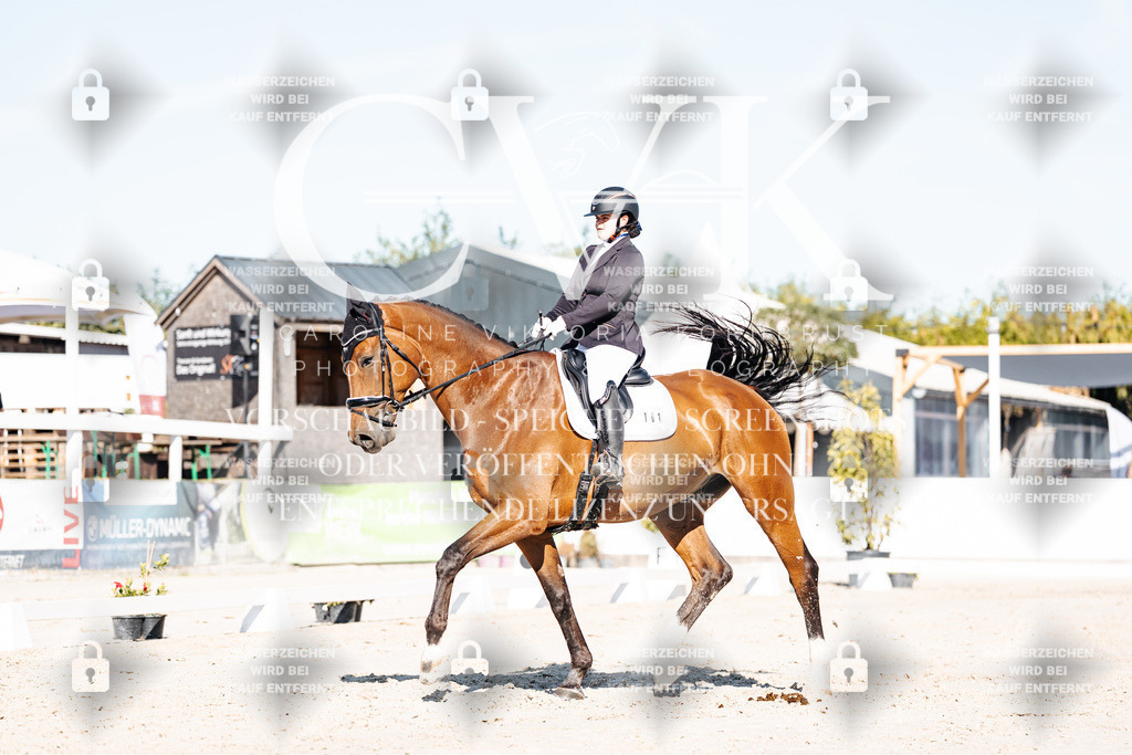 CK907647 | Turnierfotografie Pferdefotografie Trier Rheinland-Pfalz Pferdesport Reitsport Tierfotografie Sportfotografie Pferdevideo Pferdevideografie Equestrianvideography equestrianphotography  - Realisiert mit Pictrs.com
