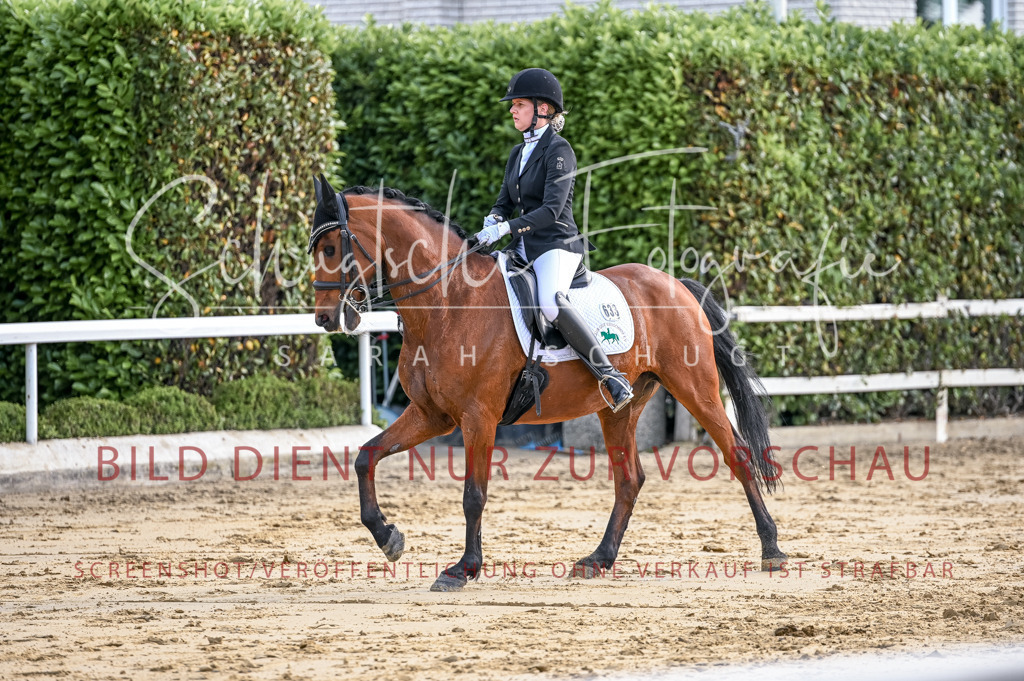 Schugtsche-Aluta25-52.Dressurprf.M2Kand-123 | Schugtsche Fotografie - Realisiert mit Pictrs.com