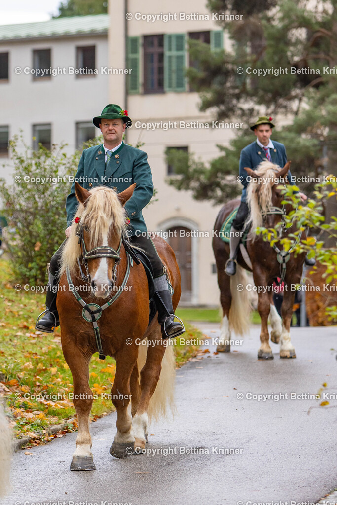 LL25-80 | foto-bettina-krinner - Realisiert mit Pictrs.com