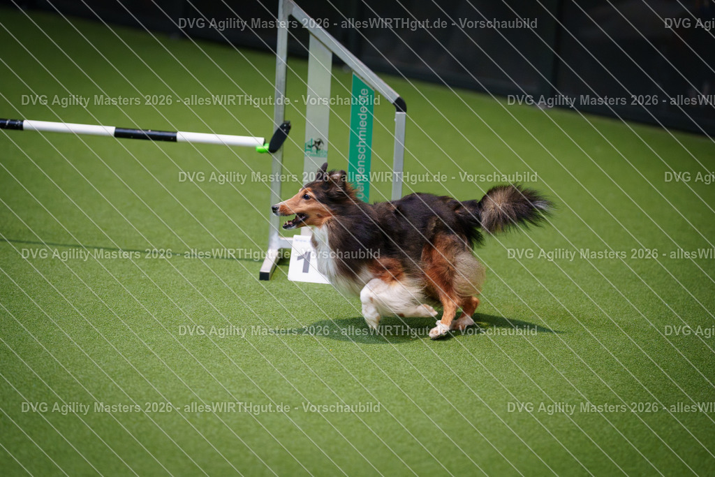 allesWIRTHgut_Tierfotografie-DVG_Agility_Masters_2026-08_34-7R500825 | Professionelle Tierfotografie in Mönchengladbach von Daniel Wirth (allesWIRTHgut). Liebevolle & natürliche Bilder von Hunden & Katzen für unvergessliche Erinnerungen.