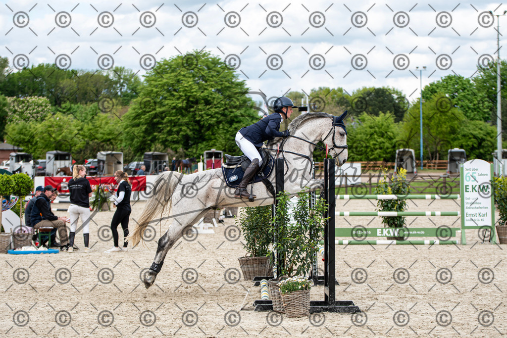 KPT_6181 | andre_photographic