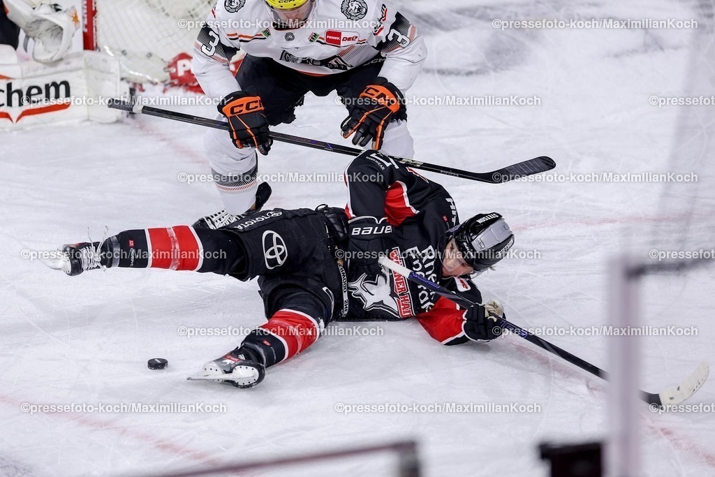 Koe30122401040 | 30.12.2024, Eishockey, Penny DEL, Kölner Haie - Löwen Frankfurt, Spieltag 32, Lanxess-Arena Köln: Elias Lindner (Kölner Haie #34) liegt auf dem Eis 