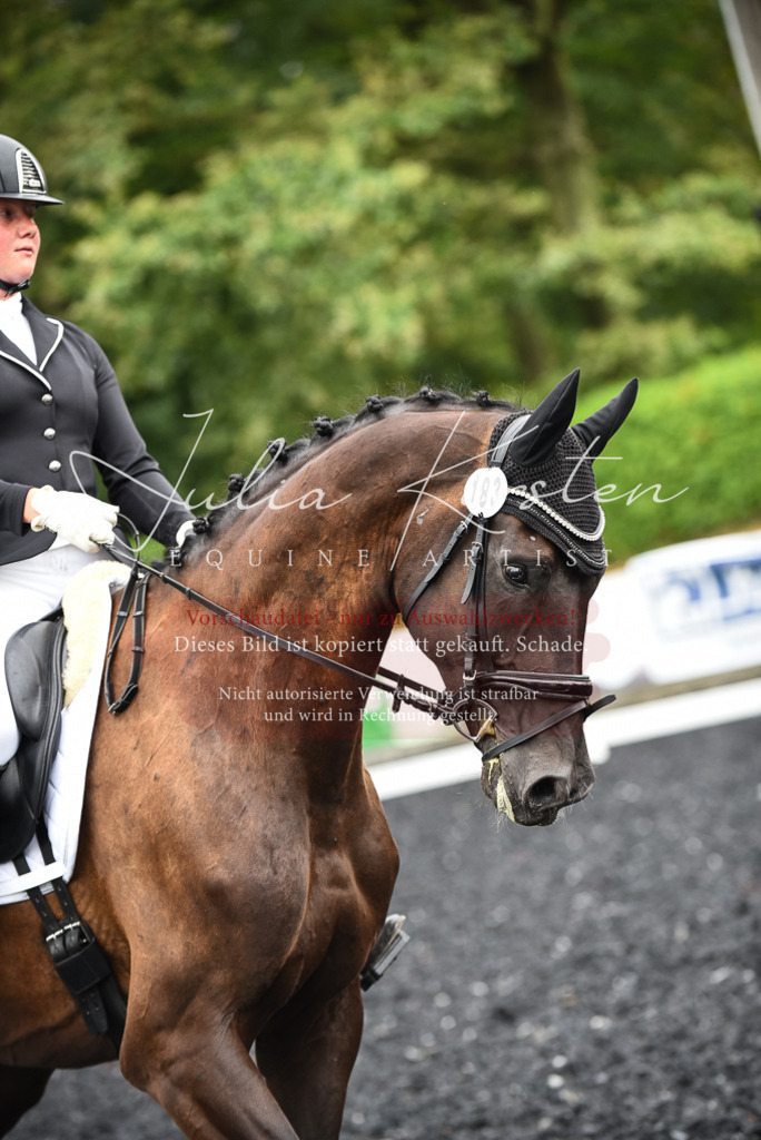 DSC_2818 | Pferde- und Turnierfotografie in Westsachsen. Pferdeportraits, Auftragszeichnungen und intuitive Kunst.