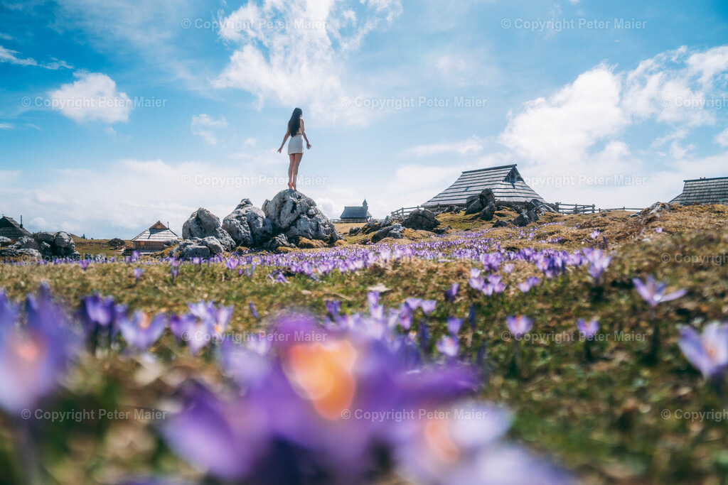 Velika Planina32 | piet_flosse