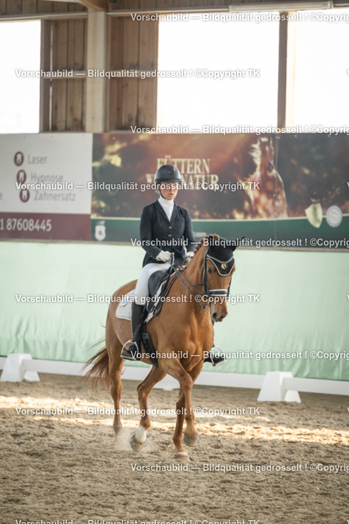 _D5A3299 | Emotionale Pferde- & People-Fotografie rund um Heidelberg, Leimen & Umgebung. Natürliche Fotos von Pferd, Mensch & Familie. Jetzt Termin sichern!