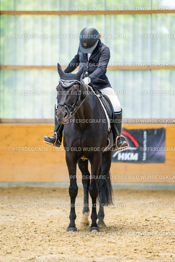 DSC08094 | Pferdegrafie