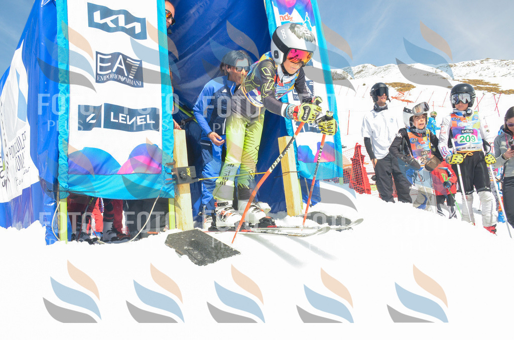 _ELE6766 | holidayphoto