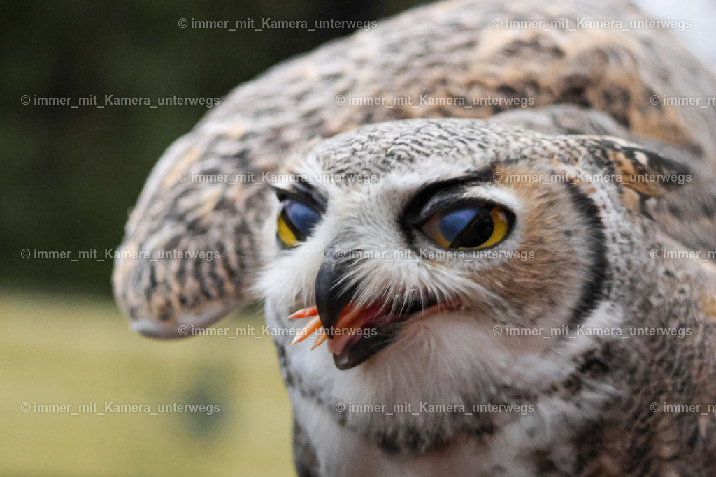 9I4A3253 | immer_mit_kamera_unterwegs